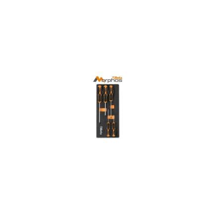 BETA 024500185 - Module en mousse EVA avec tournevis Morphos pour vis cruciformes Phillips® (5 pcs.)