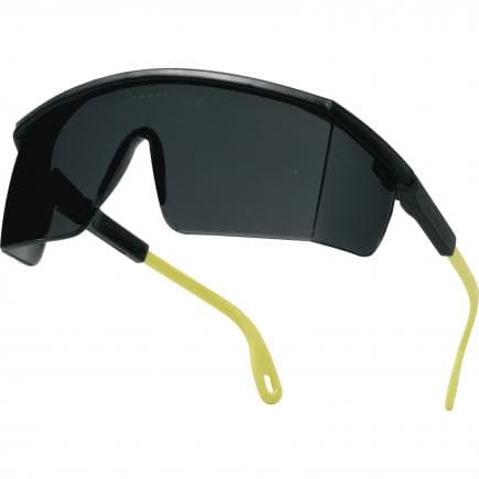 DELTA PLUS KILIMNOFU100 - Lunettes fumé polycarbonate monobloc (lot muliple)