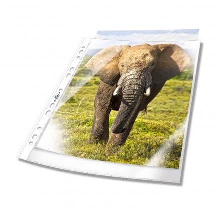 DURABLE 2658-19 - Enveloppe perforée BUSINESS A4 en PPL (lot muliple)
