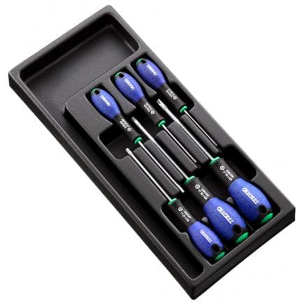 EXPERT E194941 - Module de 6 tournevis ResisTorx®