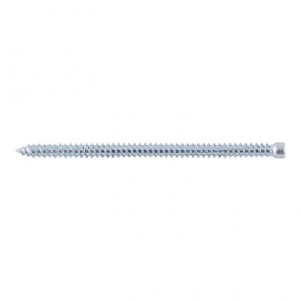 FISCHER 533615 - Vis en acier pour portes et fenêtres à tête cylindrique Torx FFSZ
