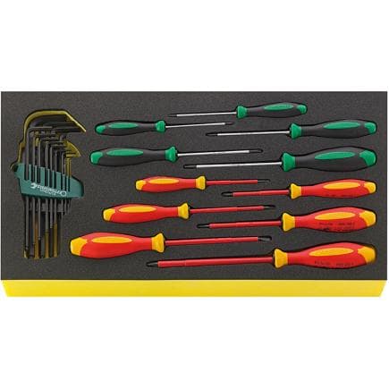 STAHLWILLE 96830127 - Jeu de tournevis DRALL+ en insert TCS (24 pcs.)